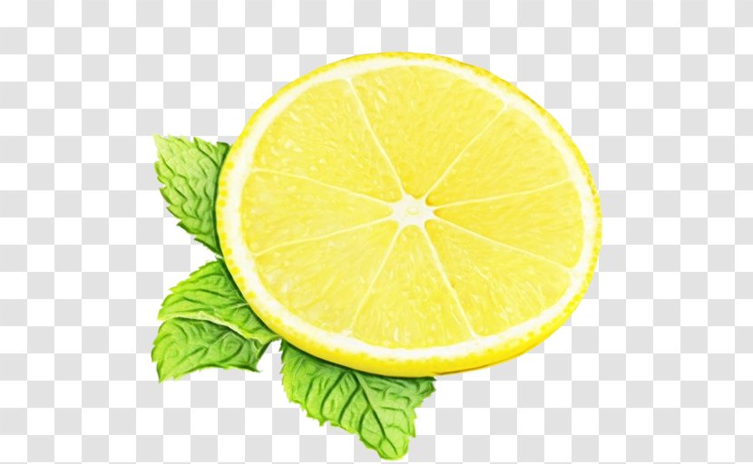 Watercolor Natural - Lemonlime Drink - Foods Transparent PNG