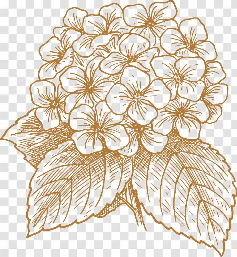 French Hydrangea Flower Drawing Clip Art - Painted Flowers Transparent PNG