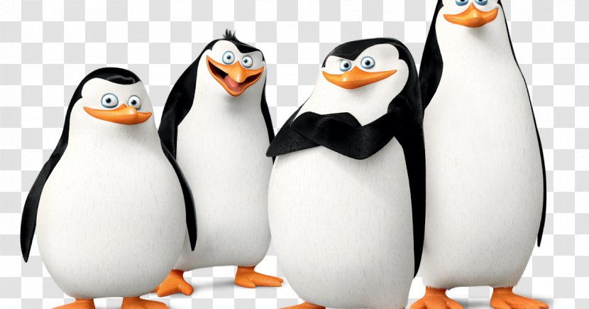 Penguin Cartoon - Penguins Of Madagascar - Animal Figure King Transparent PNG