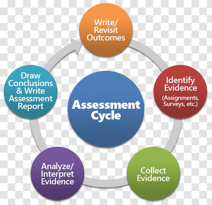 Organization Management Dėstymas Business System - Diagram Transparent PNG