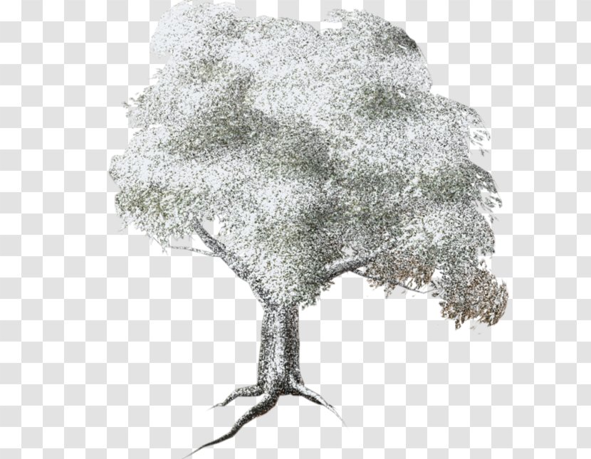 Tree Clip Art - Forest - Article Transparent PNG