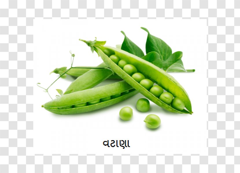Pea Organic Food Vegetable Nutrient - Legume Transparent PNG