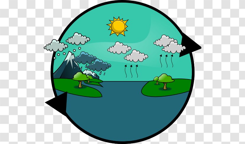 Clip Art Water Cycle Openclipart Vector Graphics - Grass - Segregated Facilities Transparent PNG