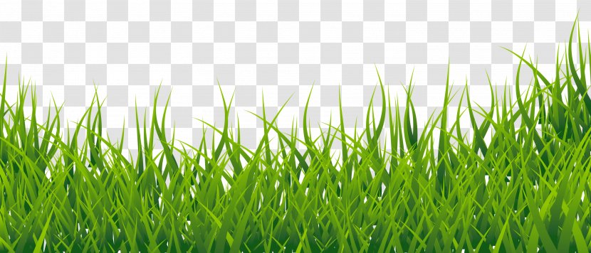 Easy English Vocabulary Clip Art - Meadow - Cliparts Grass Border Transparent PNG
