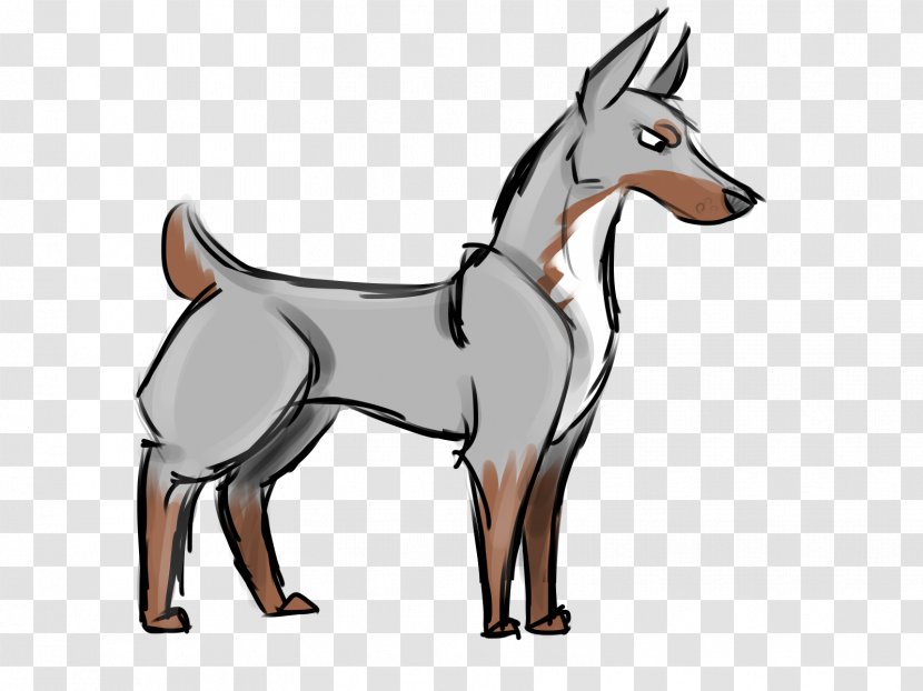 Dog Breed Pinscher Horse Mammal - Character Transparent PNG