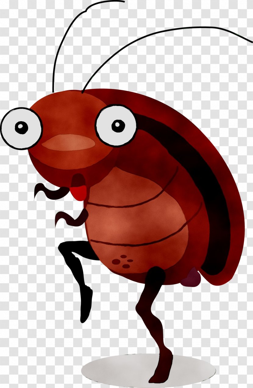Cockroach Cartoon Vector Graphics Royalty-free Illustration - Caricature Transparent PNG