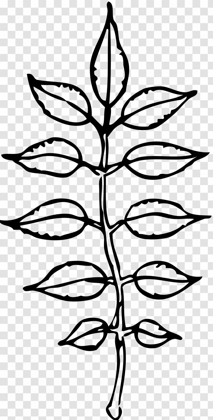 Black And White Leaf Clip Art - Tree Transparent PNG