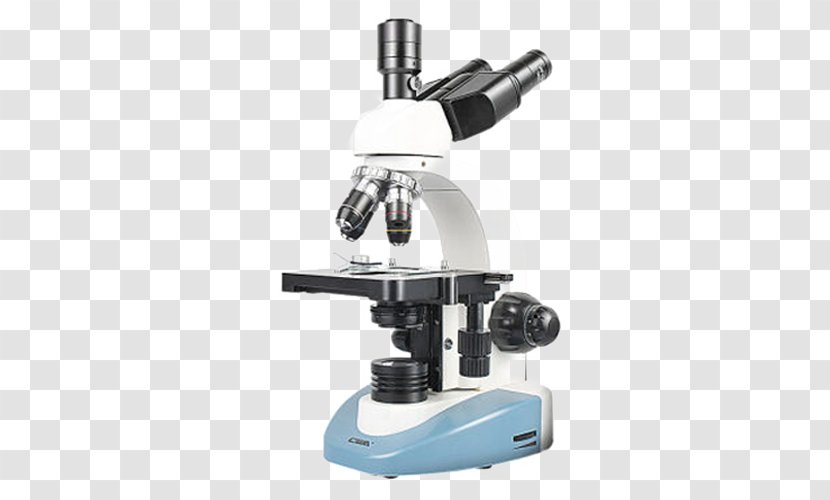 Digital Microscope Magnification - Designer Transparent PNG