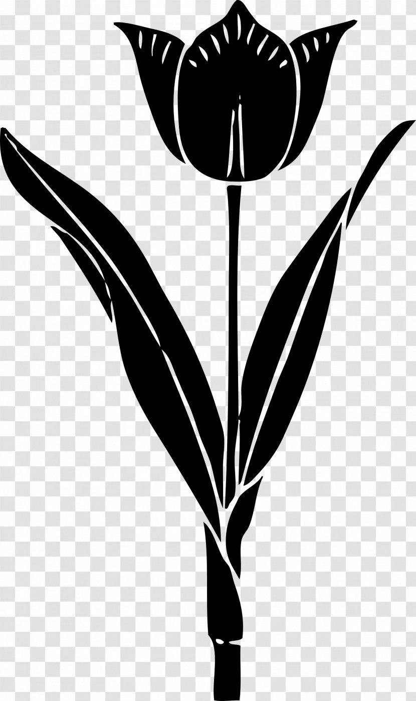 Tulip Silhouette Drawing Clip Art - Monochrome Photography - MEXICAN FLOWERS Transparent PNG