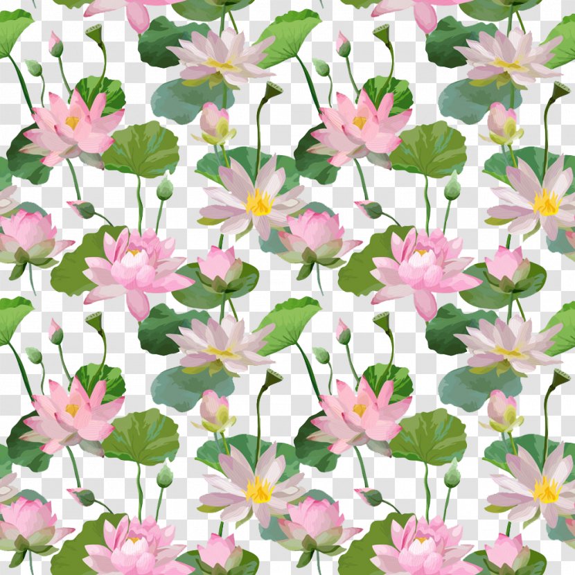 Pink Nelumbo Nucifera - Plant - Floral Background Transparent PNG
