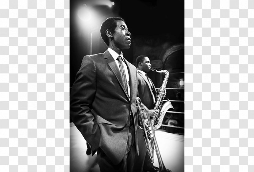 Jazz New York Film Festival Musician Miles Ahead - Flower - Davis Transparent PNG