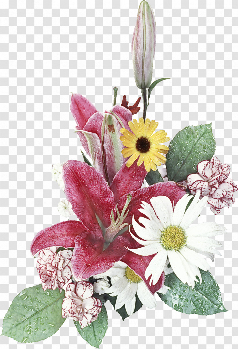 Floral Design Transparent PNG