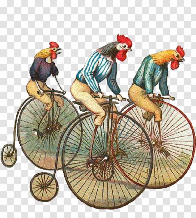 T-shirt Chicken Bicycle Cycling Penny-farthing - Part - Matting Clipart Transparent PNG
