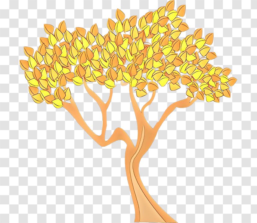 School Cartoon - Flower - Plant Stem Transparent PNG