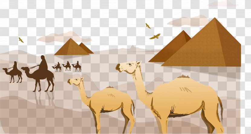 Sahara Camel Arabian Desert Clip Art - Egyptian Pyramids Background Transparent PNG