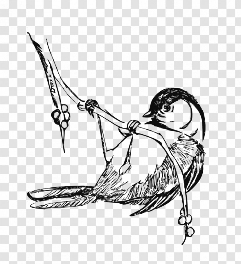 Black-capped Chickadee Drawing Clip Art - Feather - Capped Transparent PNG
