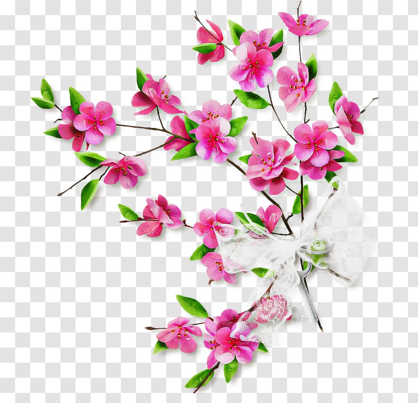 Pink Flower Cartoon - Dendrobium - Pedicel Transparent PNG