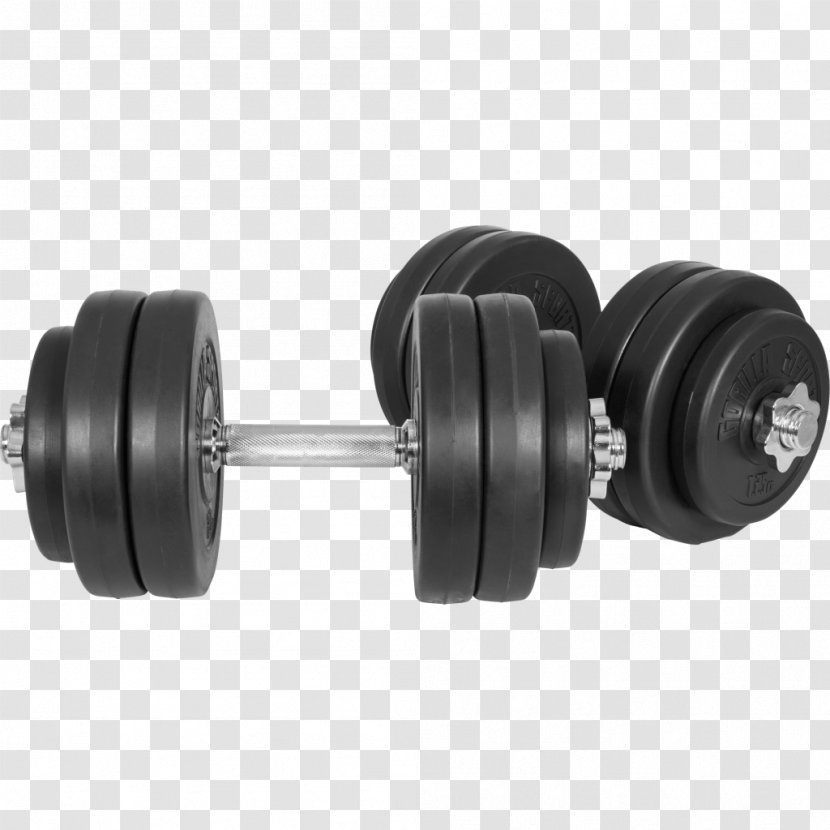 Dumbbell Weight Training Biceps Curl Bench - Automotive Tire Transparent PNG