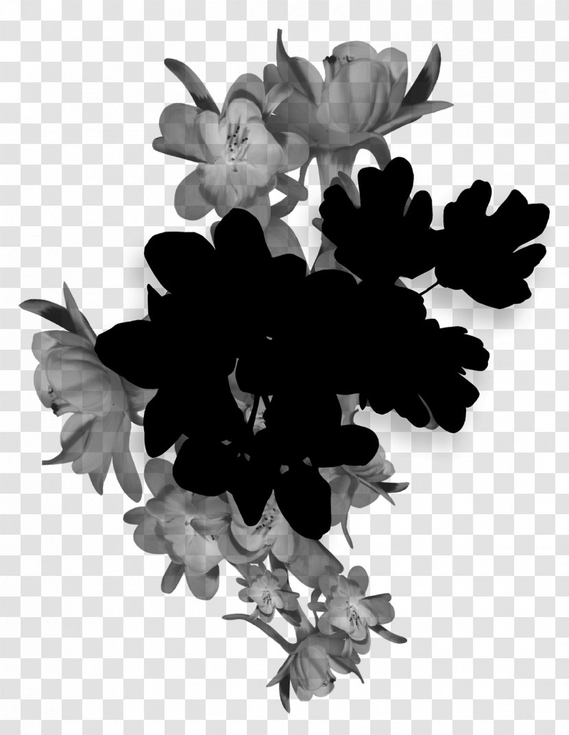 Floral Design Rose Family Cut Flowers - Petal Transparent PNG