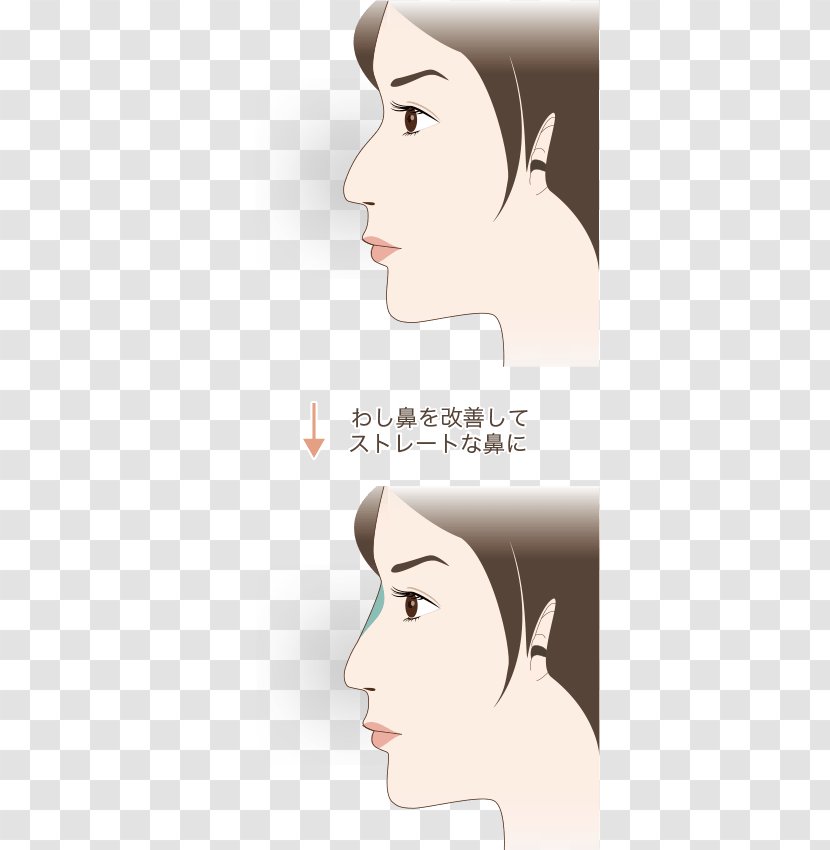 Ear Cheek Eyebrow Lip Chin - Flower Transparent PNG
