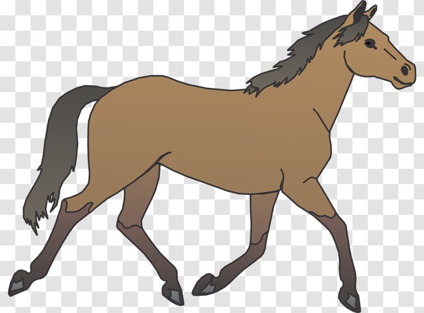 Horse Pony Foal Clip Art - Collection Transparent PNG