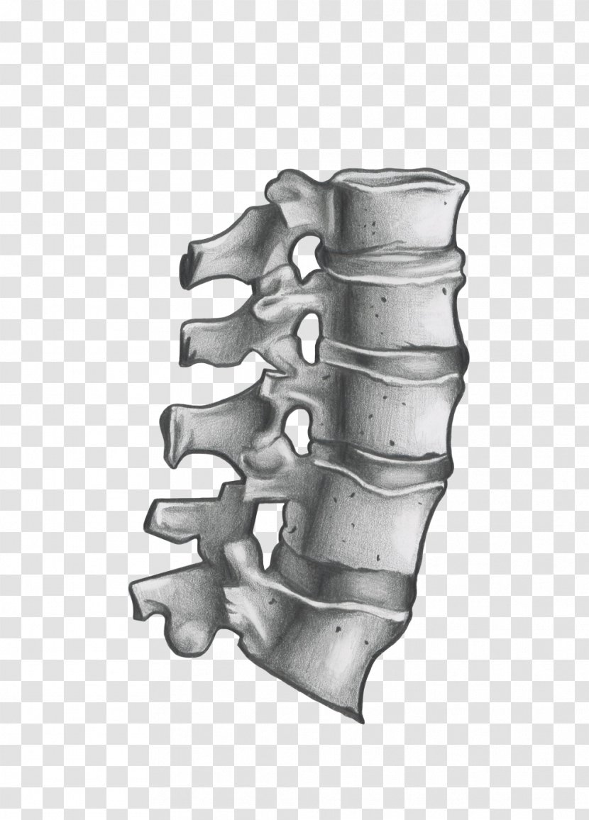 Neurosurgery Greater Houston Vertebral Column Innovation - Health Transparent PNG