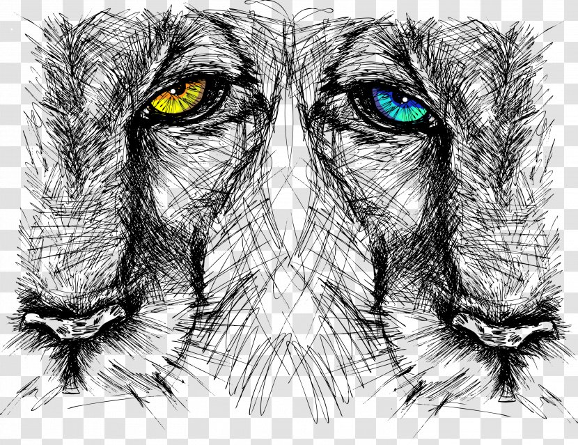 Lion Drawing - Heart - Lions Head Transparent PNG