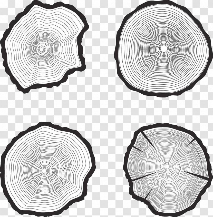 Tree Trunk Aastarxf5ngad Royalty-free - Monochrome Photography - Black And White Rings Transparent PNG