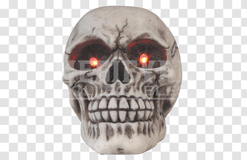 Skull 0 Head Figurine Transparent PNG