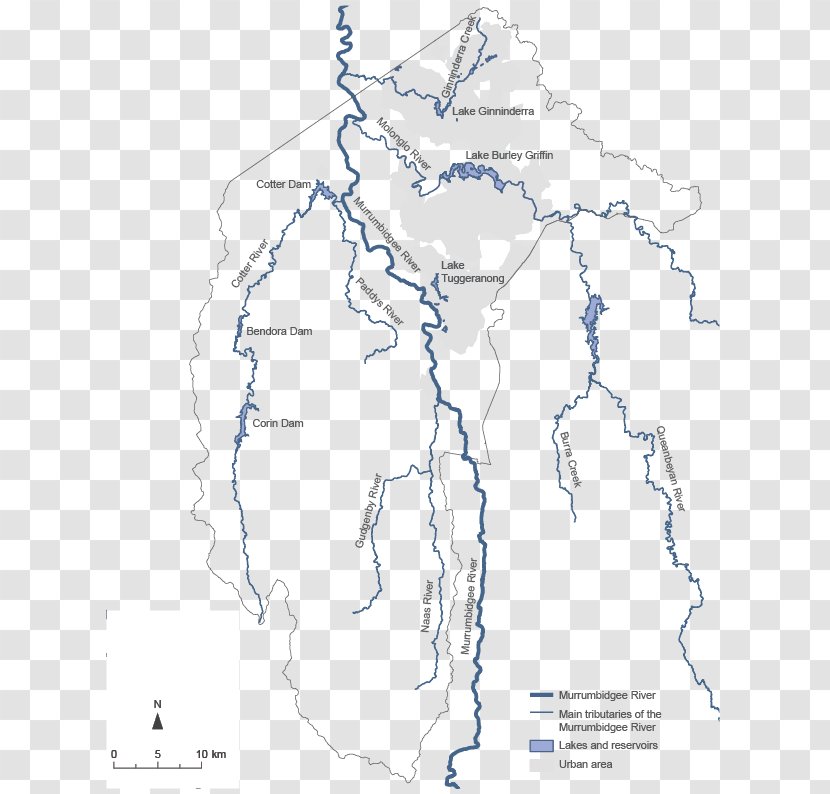 Line Point Map Organism Transparent PNG