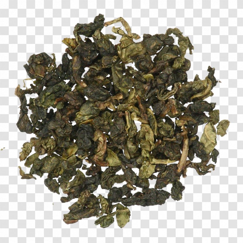 Biluochun Nilgiri Tea Oolong Gunpowder Green - Assam Transparent PNG