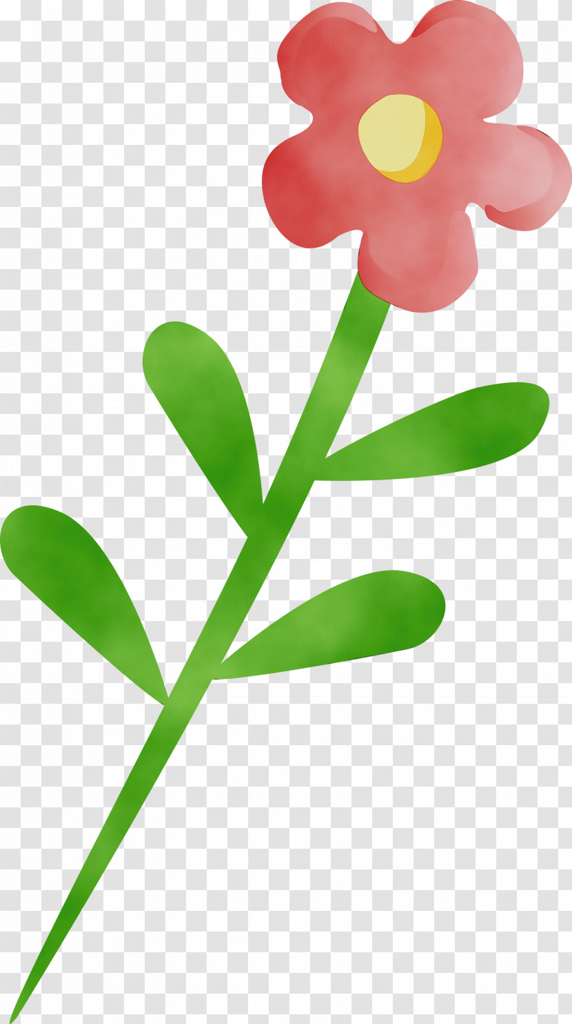 Flower Plant Leaf Pedicel Plant Stem Transparent PNG