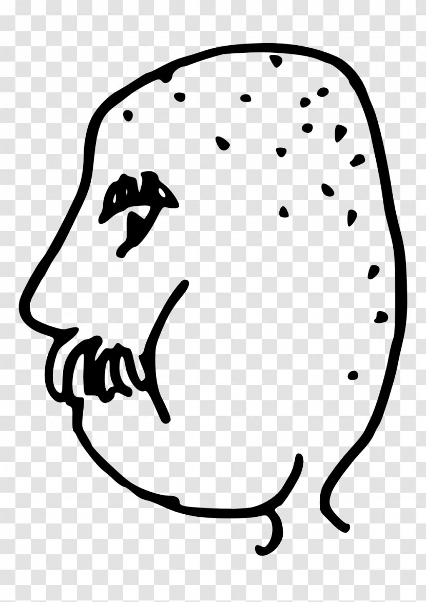 Drawing Clip Art - Nose - Line Cartoon Transparent PNG