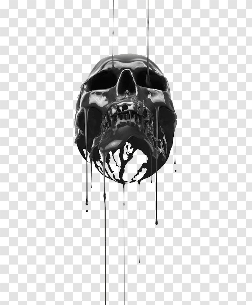 Skullture: Skulls In Contemporary Visual Culture Arts Amazon.com Hardcover Ron Englishs Vandalism Starter Kit - Book - Flowing Liquid Skeleton Transparent PNG