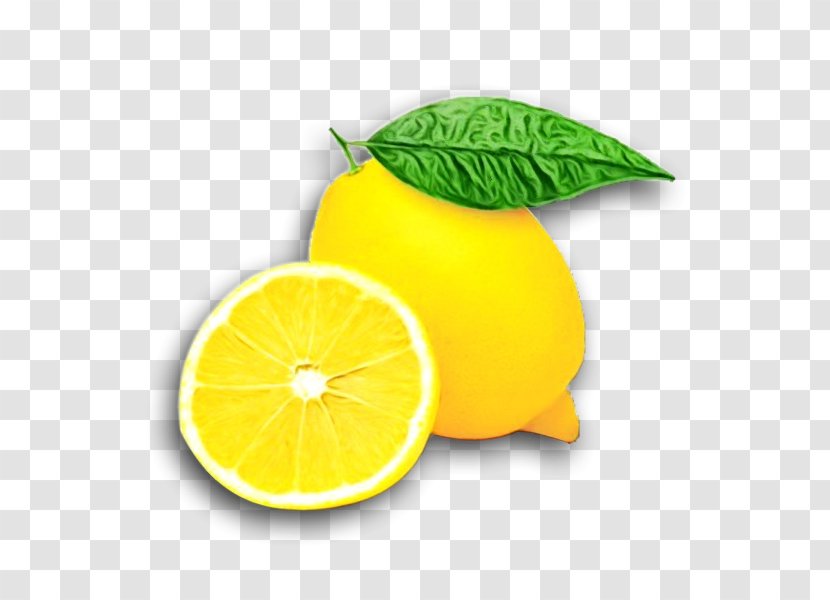 Lemon Citrus Lemon-lime Fruit Yellow - Lime - Plant Leaf Transparent PNG
