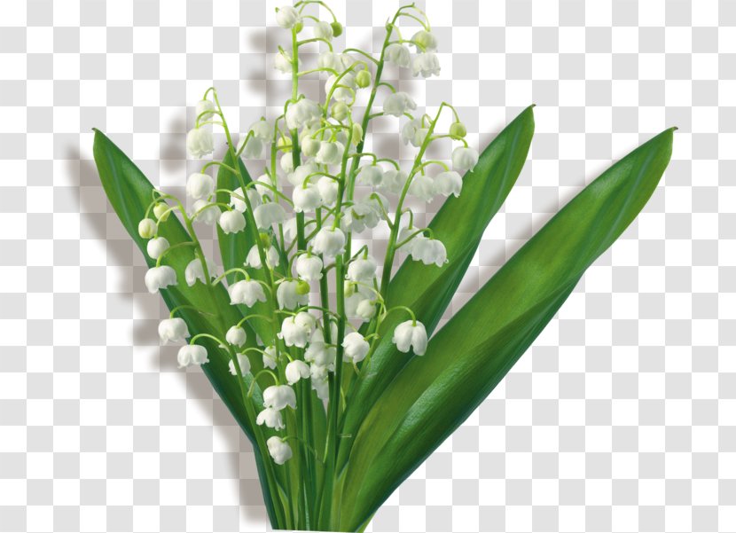 Flower Bouquet Clip Art Lily Of The Valley GIF - Drawing Transparent PNG