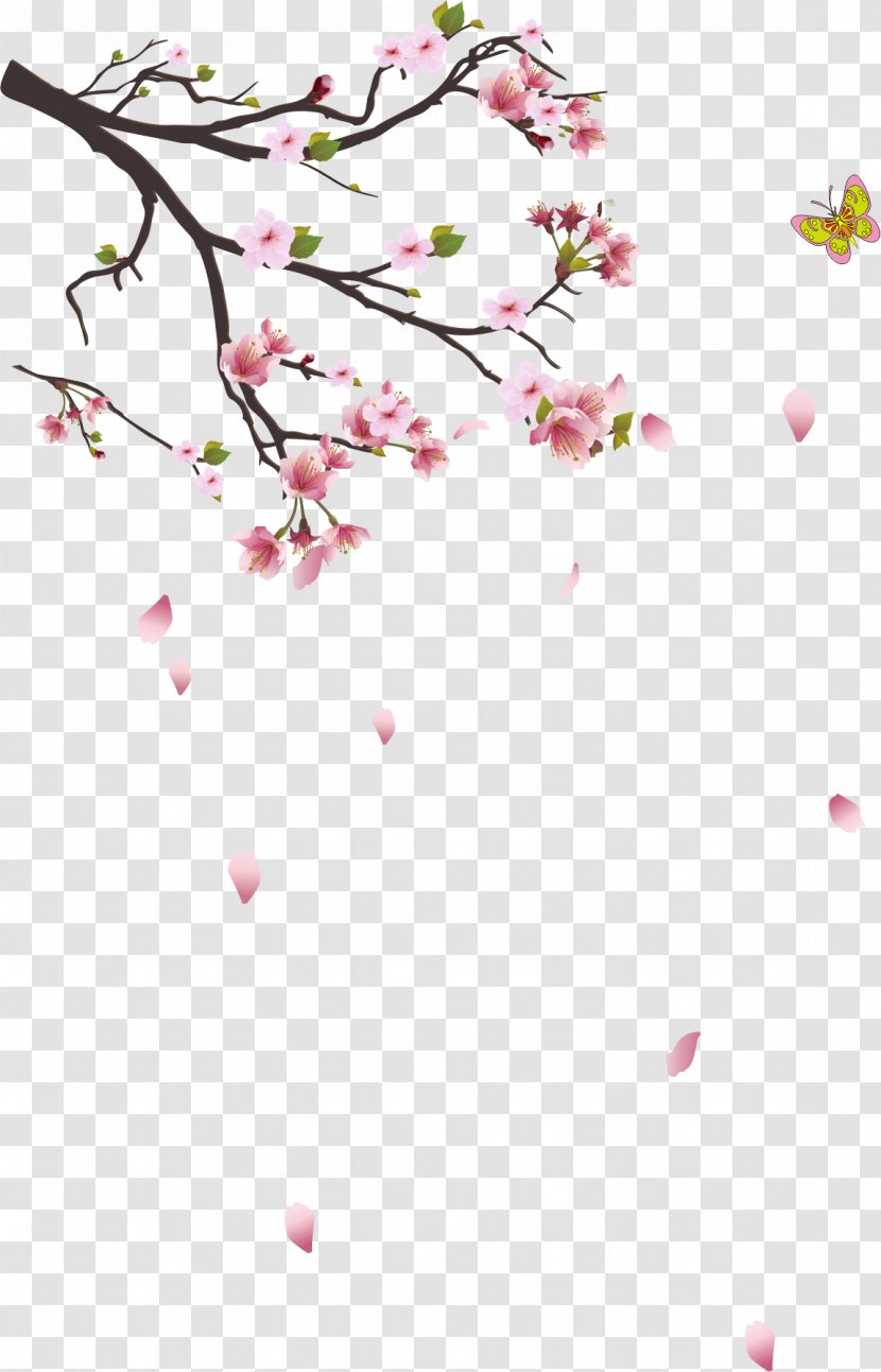 Branch Tree - Area - Cherry Branches Transparent PNG