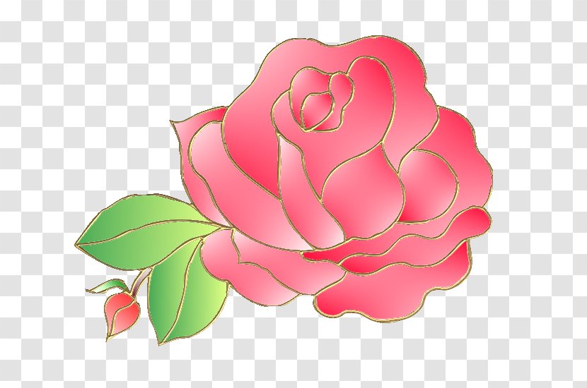 Garden Roses Flower - Centifolia Transparent PNG
