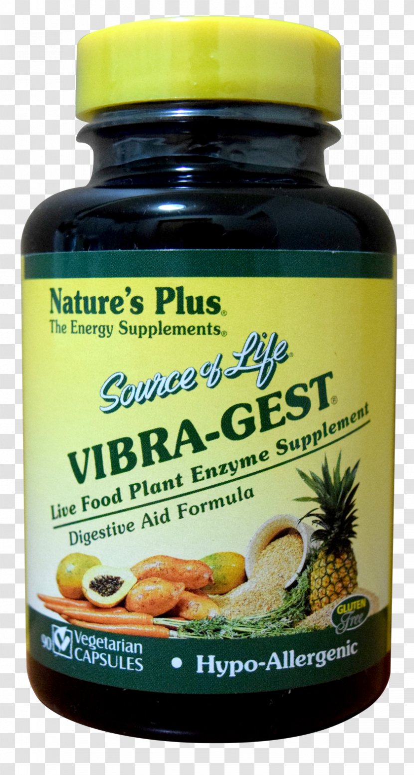 Dietary Supplement Enzyme Vitamin Folate Capsule - Digestion - Flavor Transparent PNG