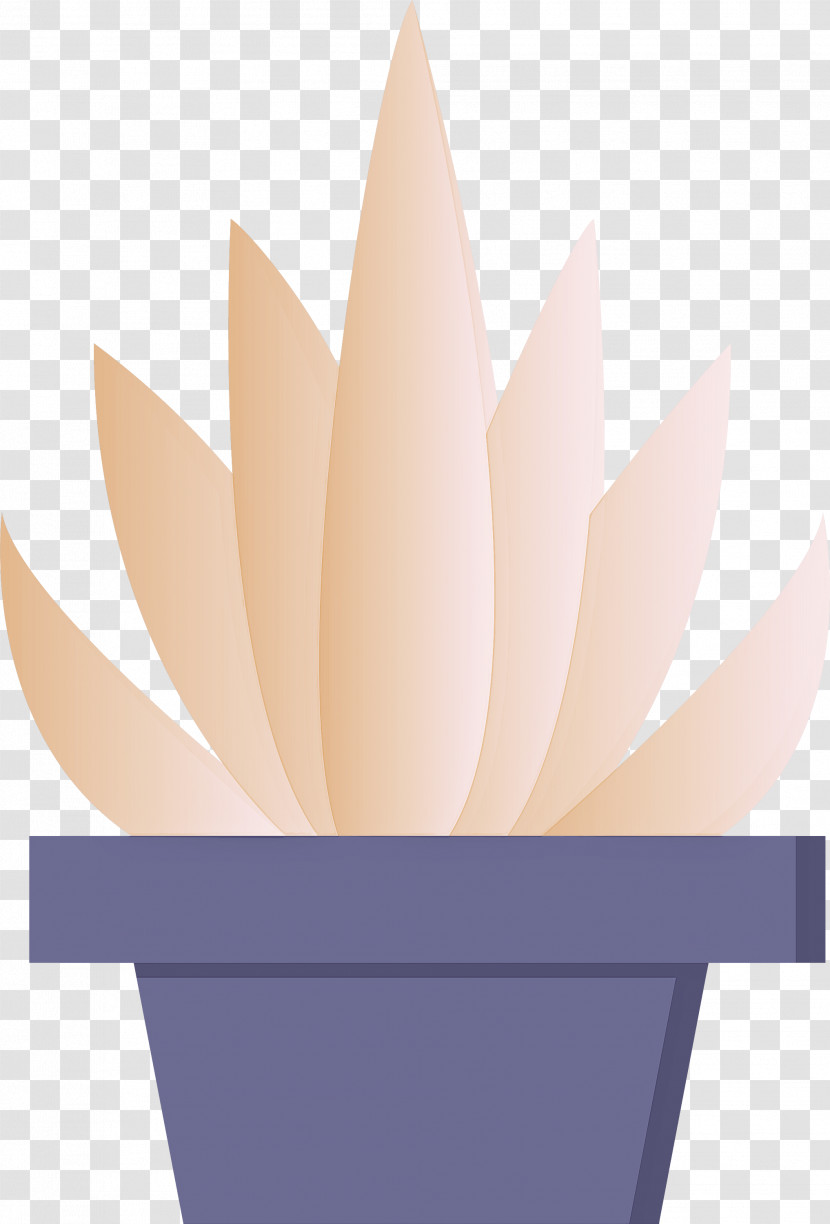 Petal Flower Flowerpot Plant Lotus Family Transparent PNG
