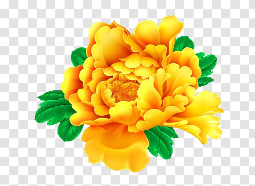 Clip Art Flower Image Design - English Marigold - Peony Transparent PNG