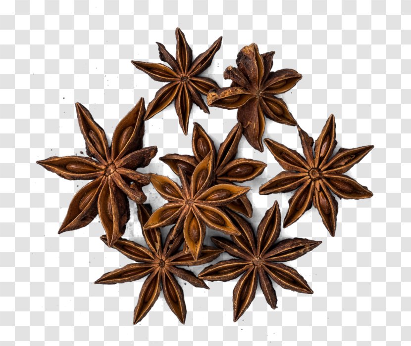 Five-spice Powder Star Anise Fennel - Flavor Transparent PNG