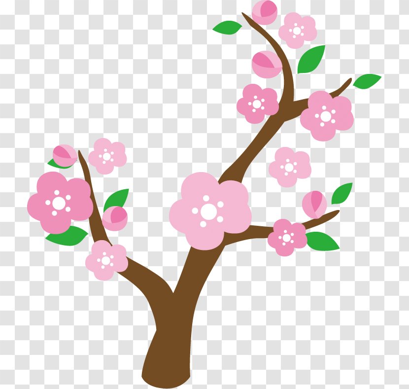 Plum Tree. - Blossom - Tree Transparent PNG