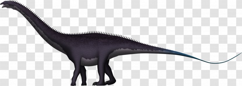 Dinosaur Animal - Terrestrial Transparent PNG