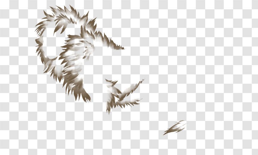 Eagle Beak Feather - Heart Transparent PNG