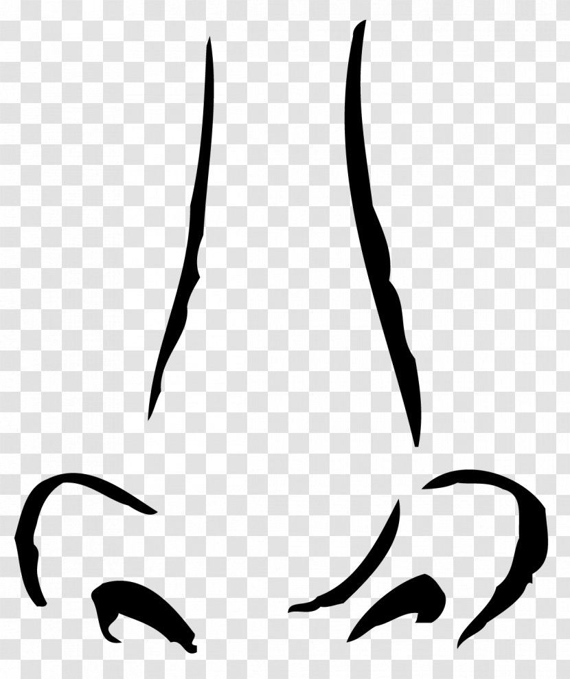 Drawing Human Nose Clip Art - White - Torch Transparent PNG