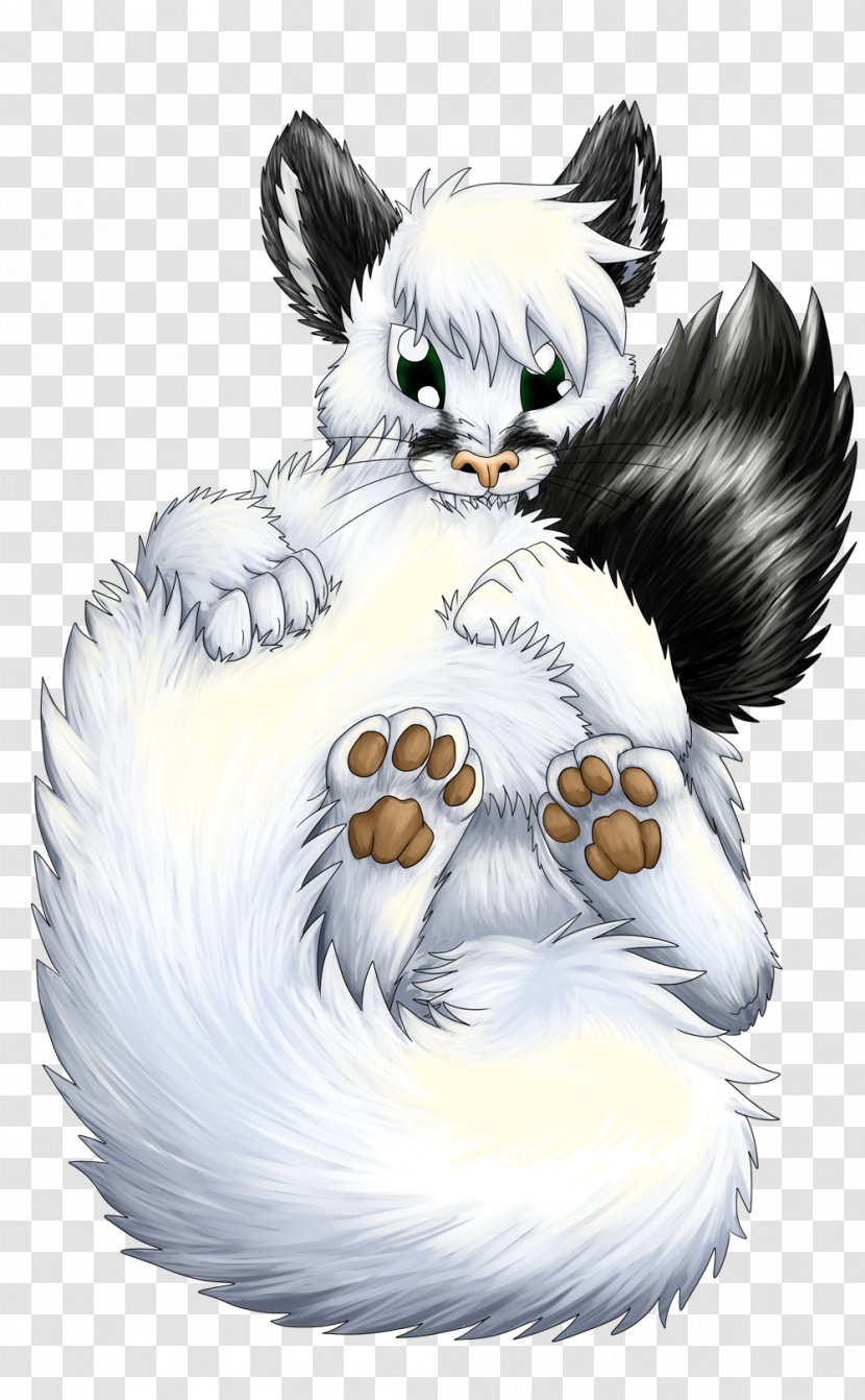 Whiskers Cat Bear Canidae Dog - Fur Transparent PNG