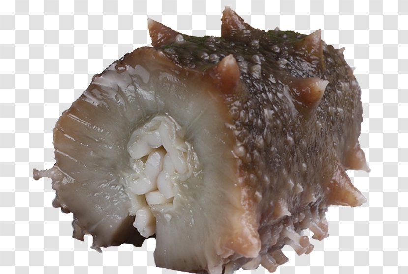 Sea Cucumber As Food Seafood Delicatessen - Animal Source Foods Transparent PNG