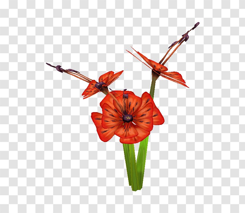 Cut Flowers Jersey Lily Floral Design - Amaryllis Belladonna Transparent PNG