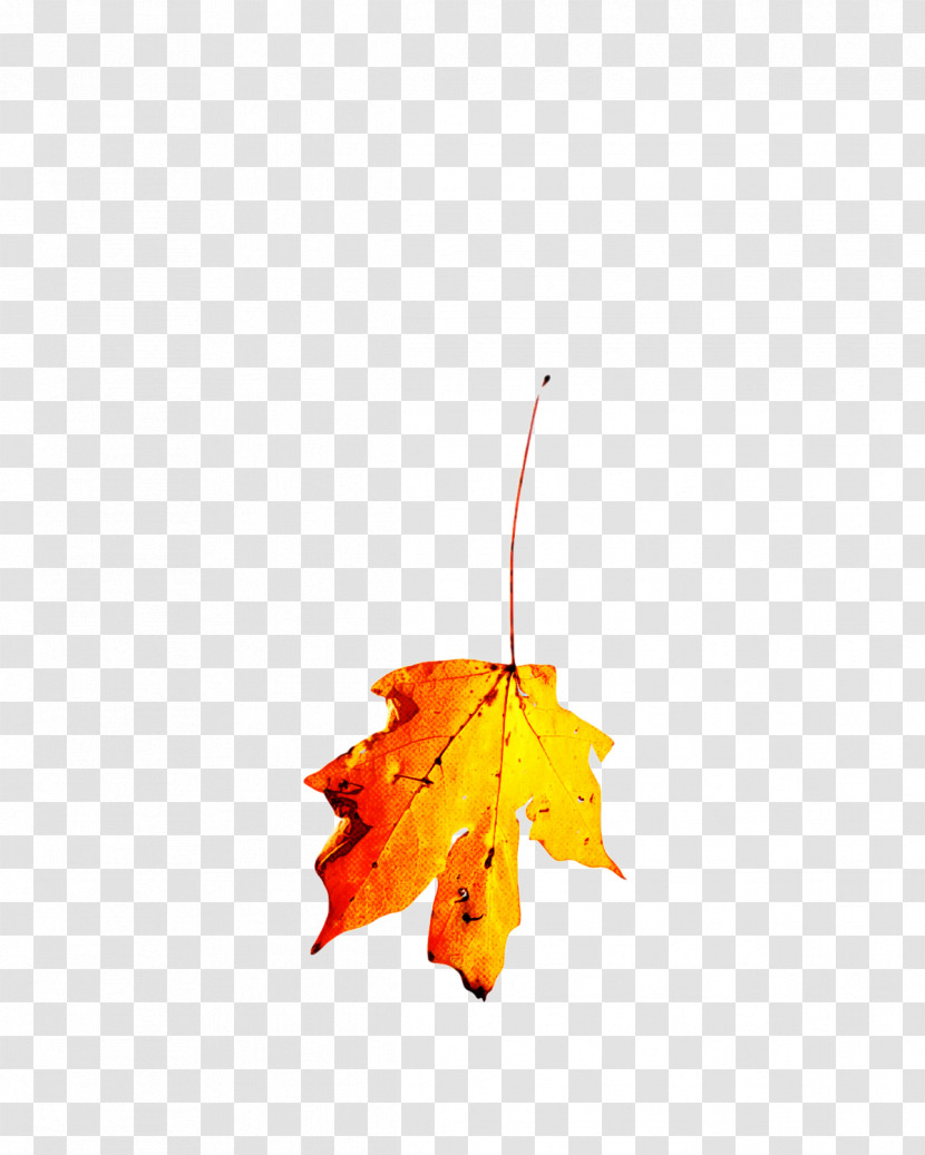 Leaf Maple Leaf / M M-tree Tree Branching Transparent PNG